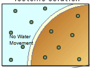 <p>when a solution is balanced</p>