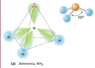 <ul><li><p>AB<sub>3</sub>E</p></li><li><p>4 electron domains</p></li><li><p>1 lone pair</p></li><li><p>&lt;109.5 degrees</p></li><li><p>Electron domain geometry: tetrahedral</p></li></ul>