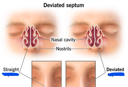 <p>Name the structure</p>