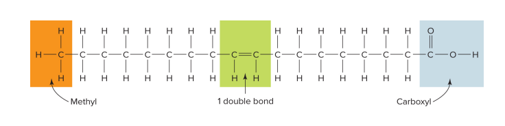 <p>one double bond is found in the chain; missing 2 hydrogens in the chain</p>
