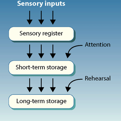 <p>pay attention to it</p>