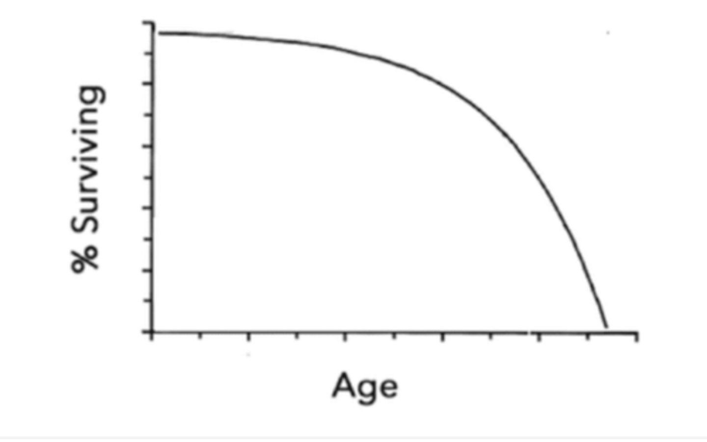 <p>type I</p>