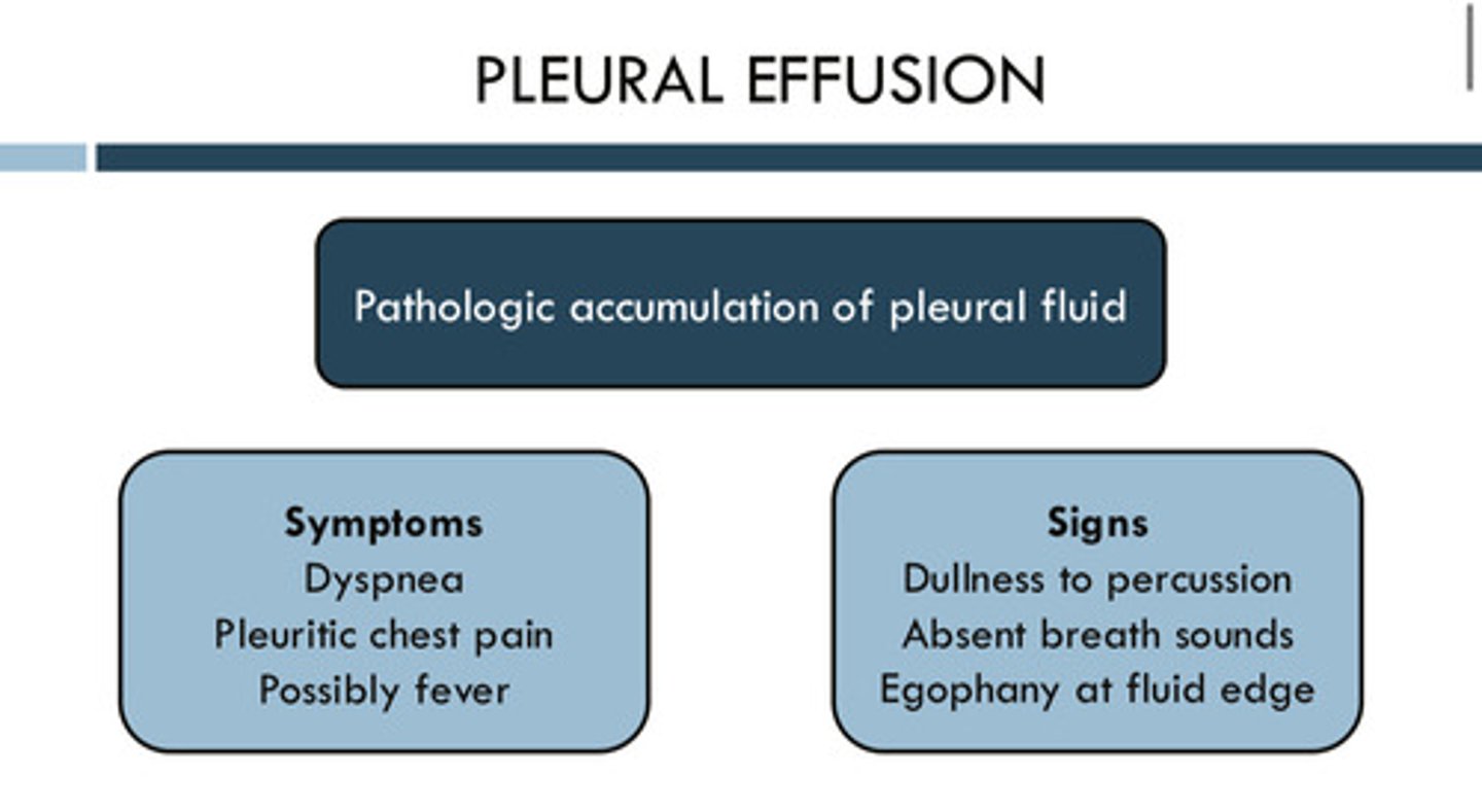 <p>pathologic accumulation of pleural fluid in the pleural space</p>