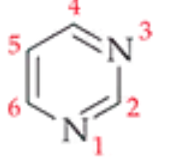 <p>Name this base?</p>