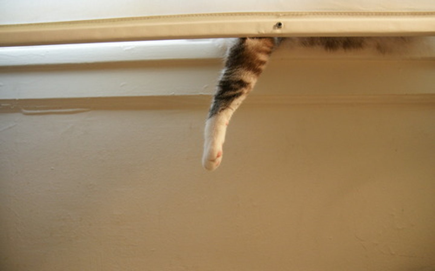 <p>teasing by showing something desirable but continually out of reach</p>