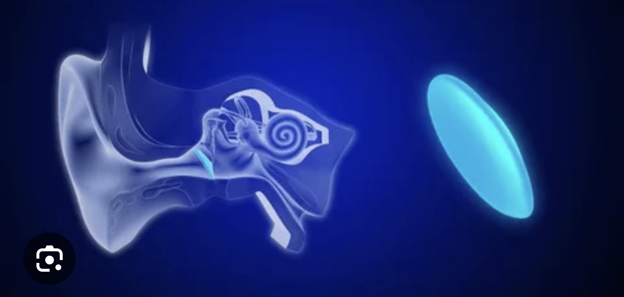 <p>Which auditory ossicle bone is highlighted? How many are there and what’s its function?</p>