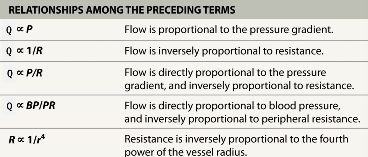 <ul><li><p><strong>Q <span>∝</span> P </strong></p></li><li><p><strong>Q <span>∝ 1/R</span></strong></p></li><li><p><strong><span>Q ∝ P/R</span></strong></p></li><li><p><strong><span>Q ∝ BP/PR</span></strong></p></li><li><p><strong><span>R ∝ 1/ r</span><sup><span>4</span></sup></strong></p></li></ul><p></p>