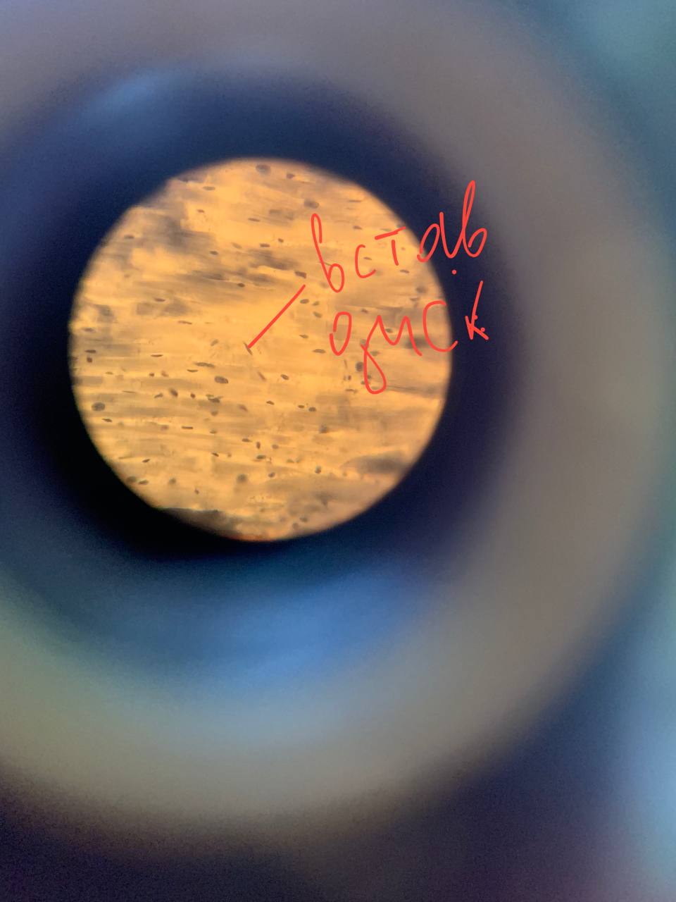 term image
