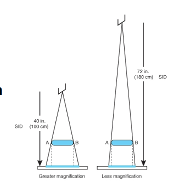 <p>What does this image show</p>