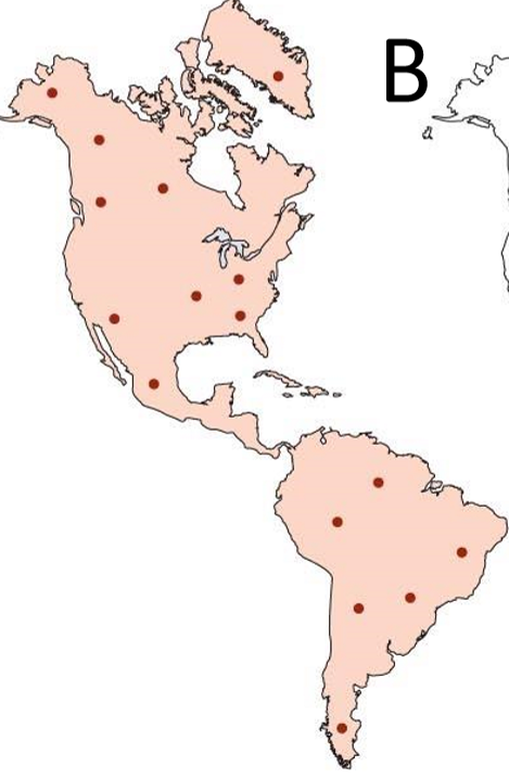 <p>regularly occurring in an area</p>