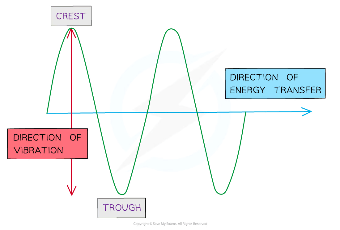 <p>The direction of oscillation of the medium are perpendicular to the direction of energy transfer</p>