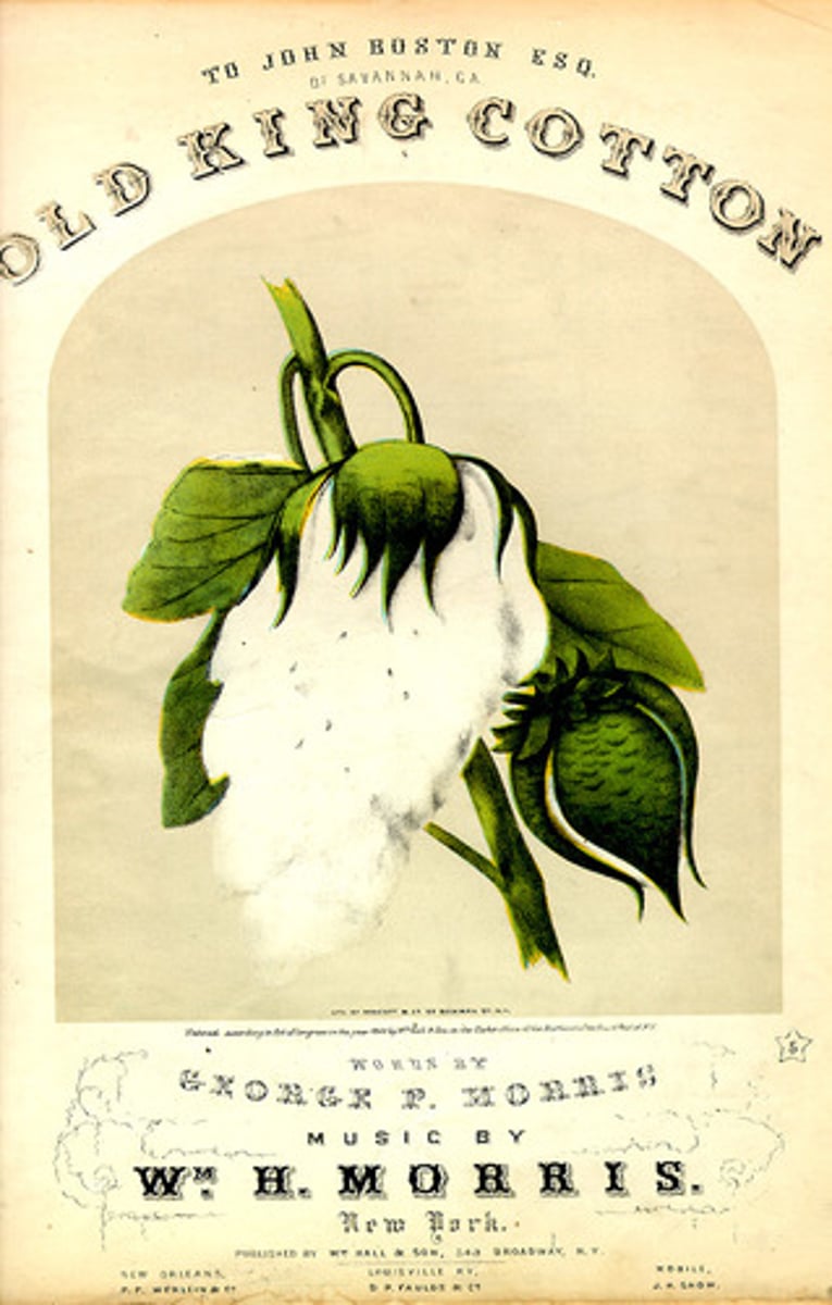 <p>major crop grown by South, very important to the world market. South hoped to use it to grain foreign support</p>