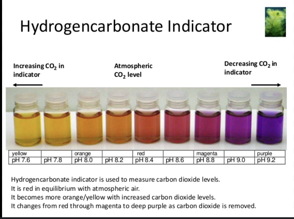 <p>hydrogencarbonate indicator </p>