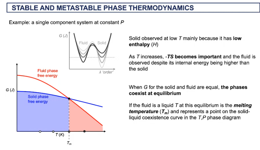 <ul><li><p>below where the lines cross, we get a solid </p></li><li><p>the minimum of the solids is lower than minimum of fluid </p></li><li><p>when solid melts, heat is added = heat of fusion </p></li></ul><p></p>
