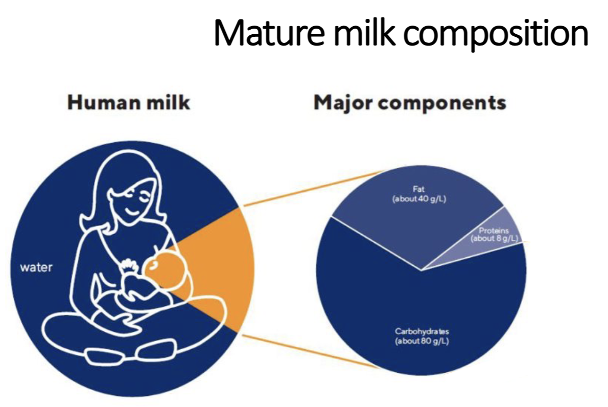 <p>Nourish, Communicate, and Protect</p><p>Carbohydrates(oligosaccharides &amp; Lactose), Fat, Protein, </p>
