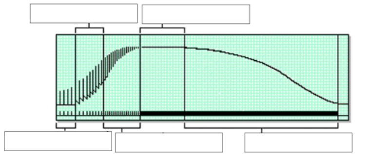 <p>graph of multiple stimuli: Match the state with the definition</p><p>Treppe, Temporal Summation, Incomplete tetanus, Complete tetanus, Fatigue</p><p></p><p>_______a. Now the frequency of stimulation is increased to the point where the muscle exhibits even shorter contraction-relaxation cycles, but there is still some degree of relaxation after each contraction.</p><p>_______b. Tetanus cannot continue forever. With continued rapid stimulation, there is a build-up of acidic compounds which affect protein functioning, a relative but not total lack of ATP, and ionic imbalances resulting from membrane activities. This causes muscle fatigue and the gradual inability of the muscle to respond to stimulation.</p><p>________c. The frequency of stimulation was so slow here that relaxation was complete between contractions. Note that the curve goes down to the baseline after each contraction</p><p>________d. Now the frequency of stimulation is increased to the point where relaxation cannot totally occur.</p><p>________e. When the frequency of stimulation becomes fast enough, the contractions fuse into a smooth, continuous, total contraction with no apparent relaxation</p>