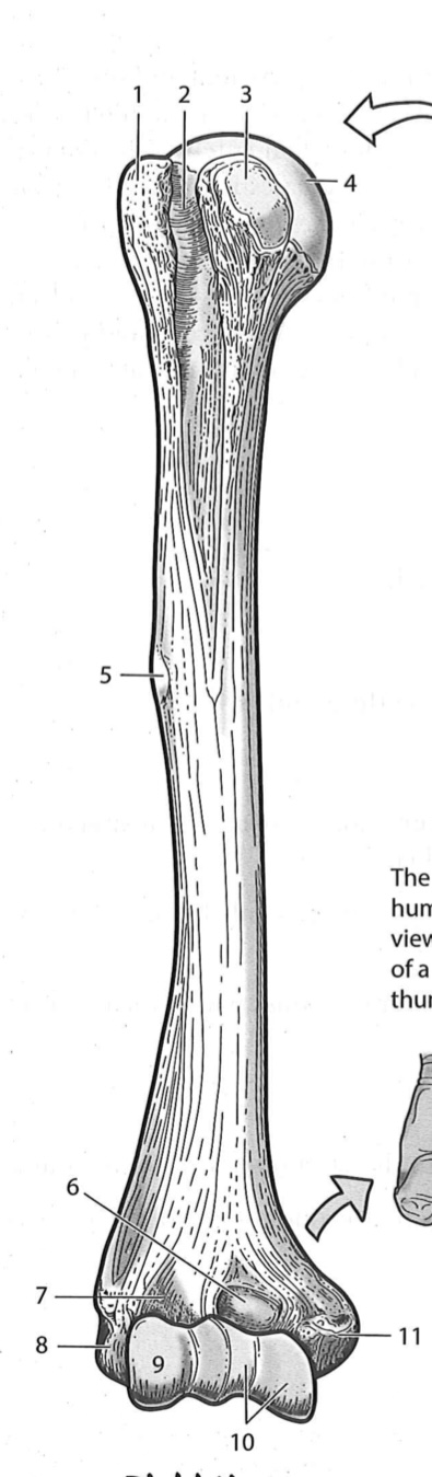 <p>2</p>