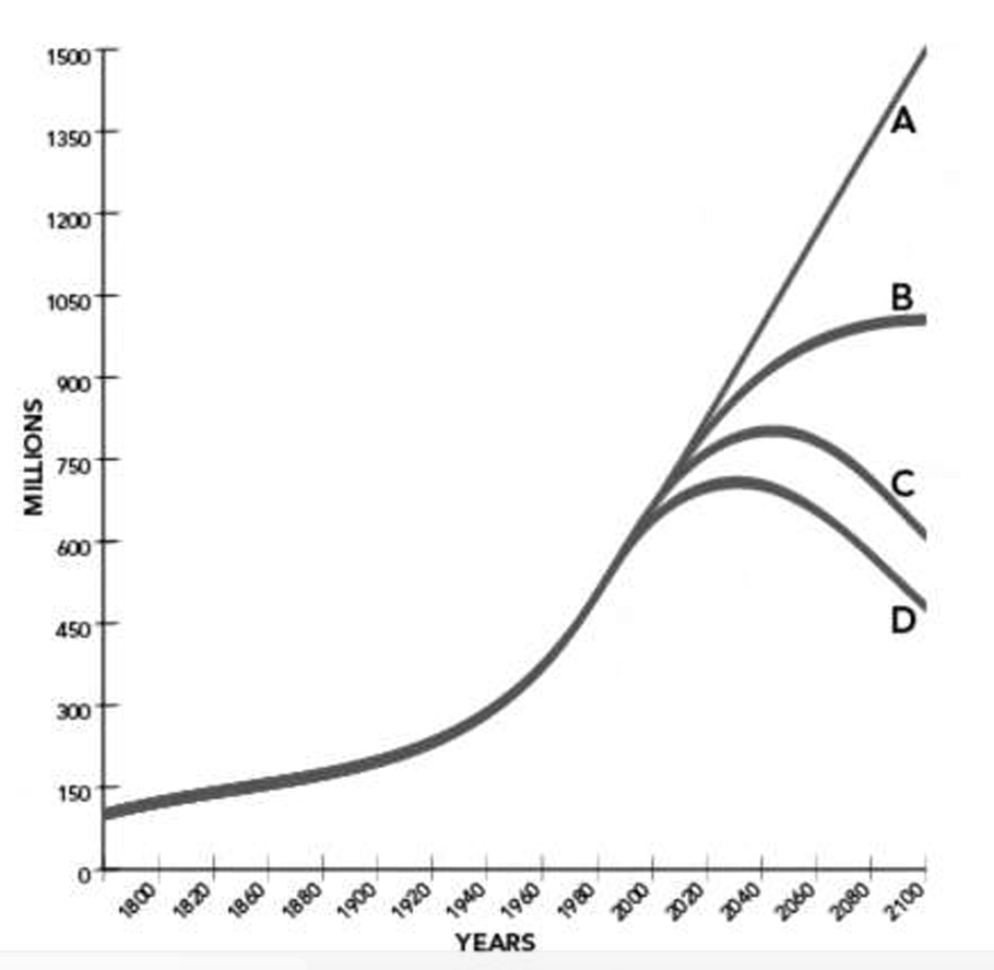 <p>Which of the following growth curves shows a population that is at its carrying capacity?</p>