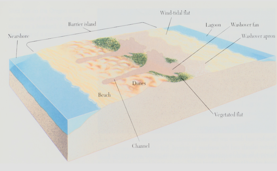 <p>Overwash is when storm-induced waves exceed the height of the dune, sand is transported over top of the dune and deposited inland. The two shapes that can form are a washover fan and a washover apron.</p>