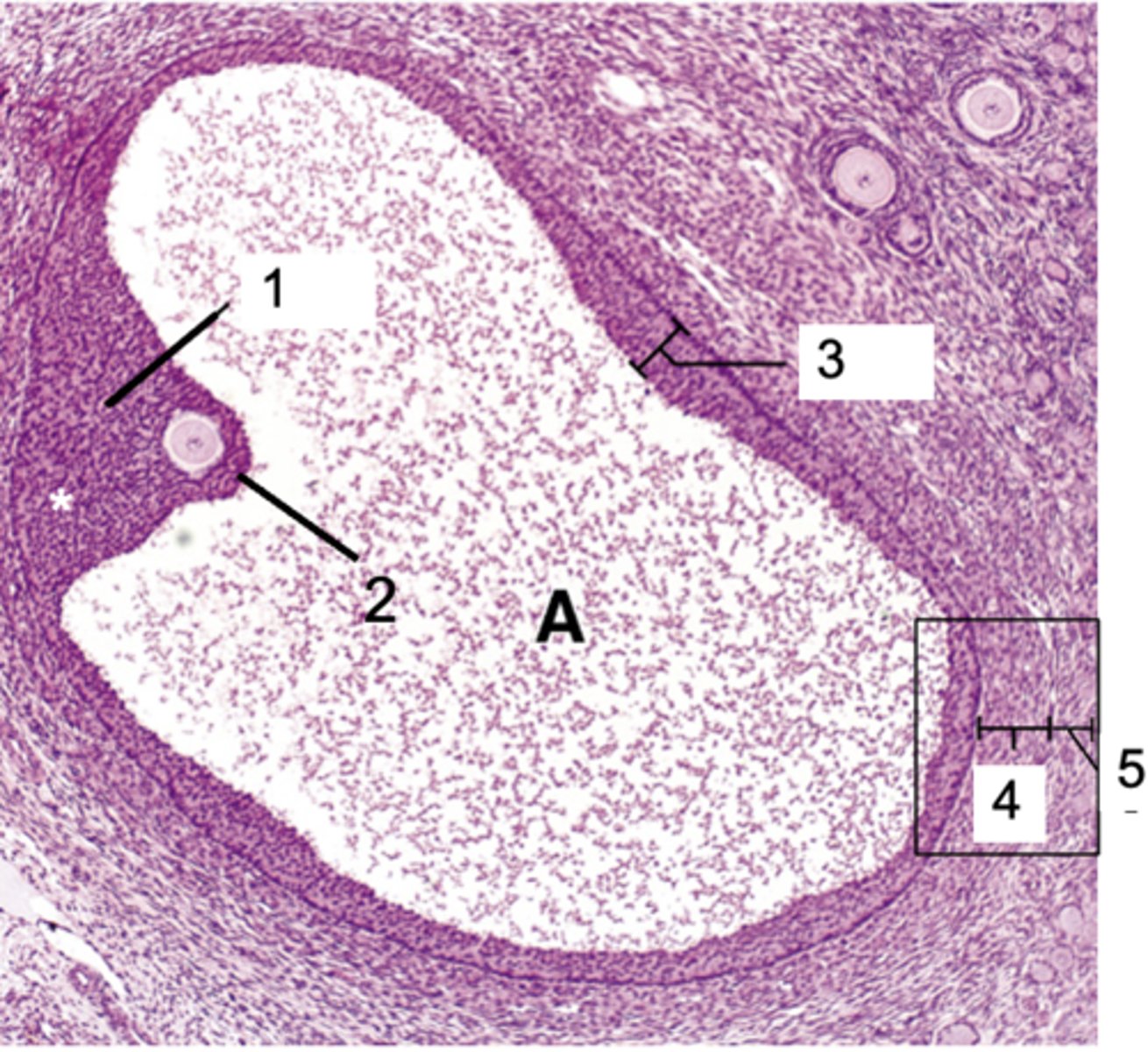 <p>What is 2?</p>