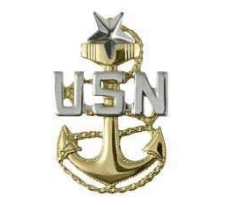 <p>Gold fouled anchor with silver USN centered across the anchor below one silver star (E8)</p>