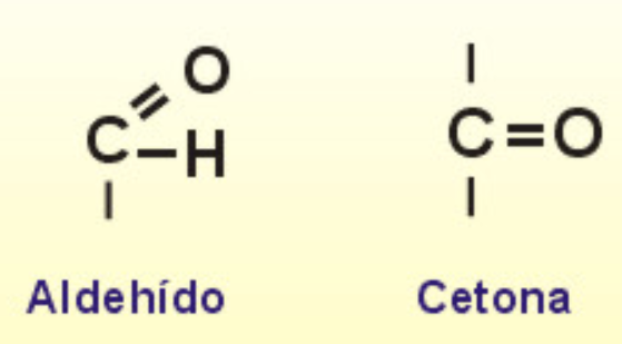 <p>Biomoléculas formadas por C, H y O</p><p>Fórmula:  CnH2nOn</p><p>De glúcido se deriva glucosa</p><p>Siempre hay un grupo carbonilo (C unido O por doble enlace), puede ser:</p><ul><li><p><strong>Aldehído</strong></p></li><li><p><strong>Cetónico</strong></p></li><li><p><strong>Hidroxilo (-OH)</strong></p></li></ul><p>Definidos como <strong>polihidroxialdehídos</strong> o <strong>polihidroxicetonas</strong></p>