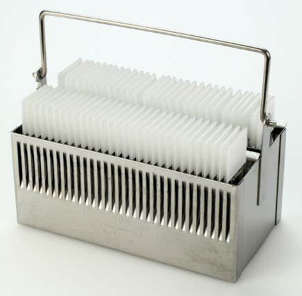 <p>What is shown in this image?</p>