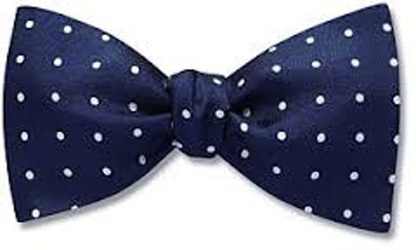 <p>bow tie</p>