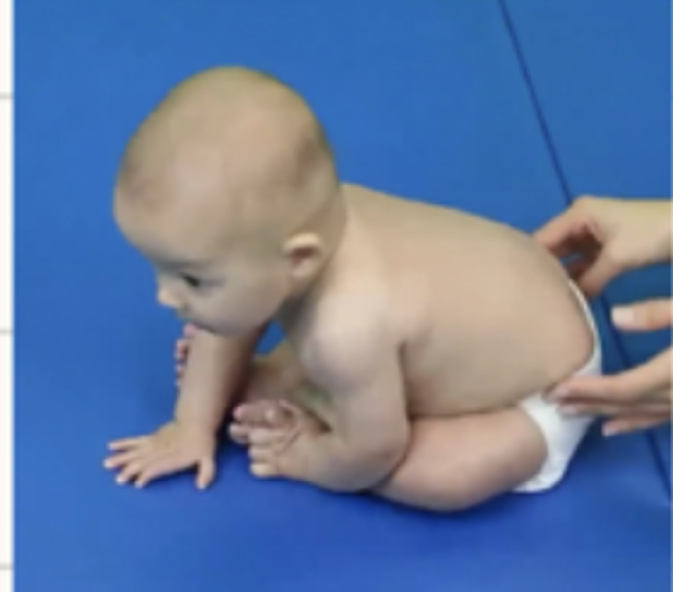 <p>Can sit unsupported for several seconds</p><p>Stabilizes trunk posture by leaning forward from hips</p><p>Baby enjoys supported sitting</p><p>Capital extensors are more active than flexors</p><p>Slightly propped arms and LEs are ERO, abducted and flexed</p>