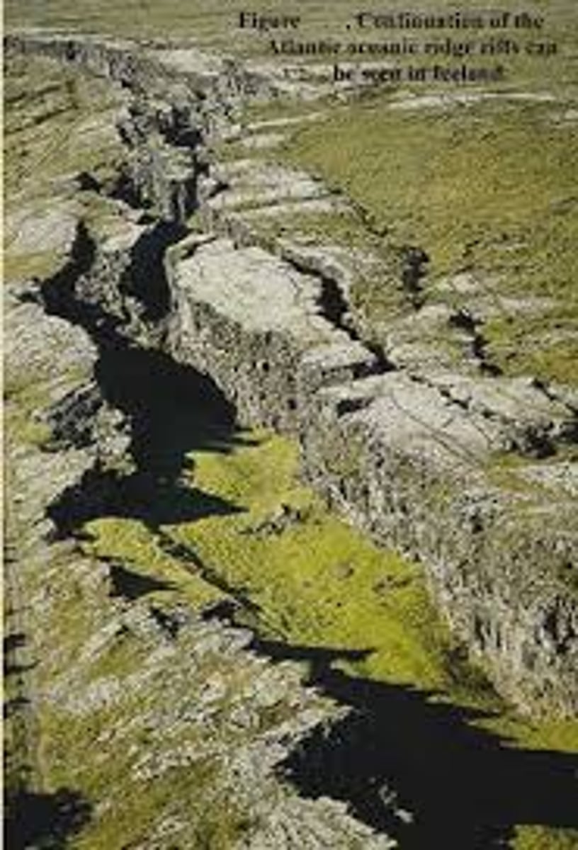 <p>Deep valleys formed where tectonic plates diverge on land.</p>