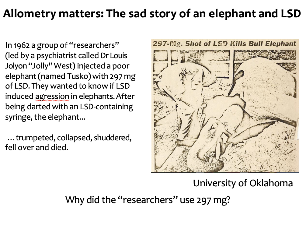 <ul><li><p>a previous study found that a dose of 0.1mg was safe for 2.6kg cats but sufficient for a psychotic effect - Tusko weighed 7722 kg, and hence Jolly and co. decided to scale up the dose by 2970</p></li><li><p>body mass is the determinant of the magnitude of most physiological processes such as metabolic rate, but these processes often do not vary in direct proportion with body mass</p></li></ul><p></p>