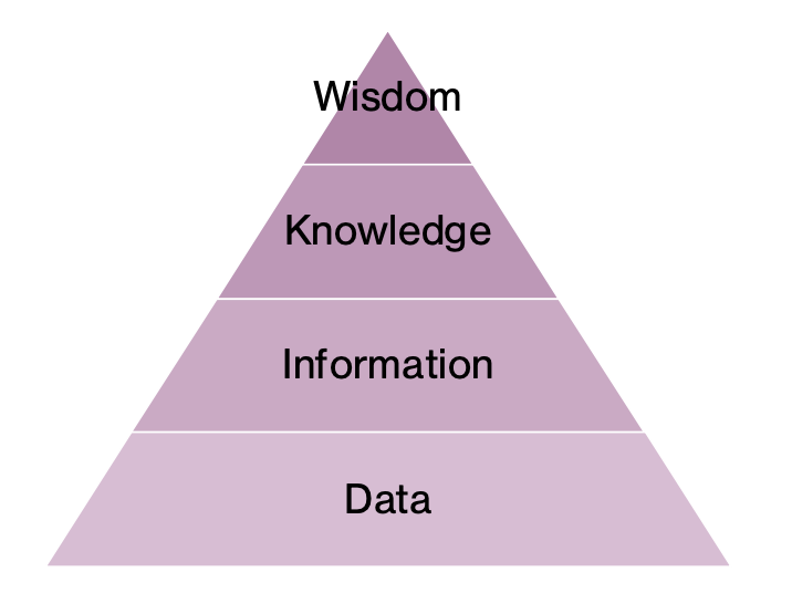 <p>Wisdom: Ability to use knowledge to make data-informed decisions or judgements </p><p>Knowledge: Process of blending information with business or market knowledge, context, expertise, and intuition </p><p>Information: Capacity to transform or summarize data into something useful and relevant, often using AI or Machine Learning (<em>known as data mining</em>)</p><p>Data: Foundational ability to collect and manage data; ensure veracity </p>