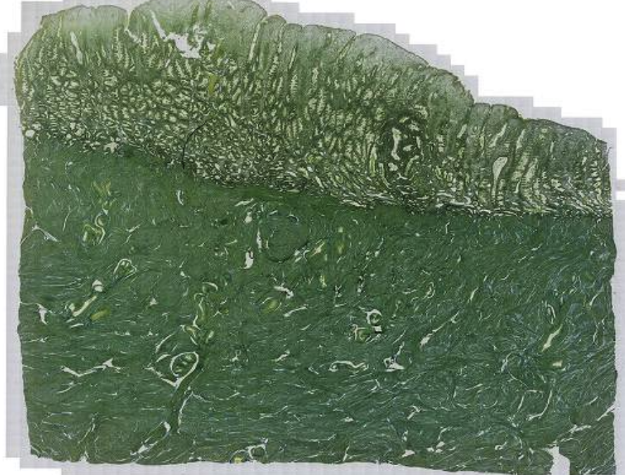 <p>What is this?</p>