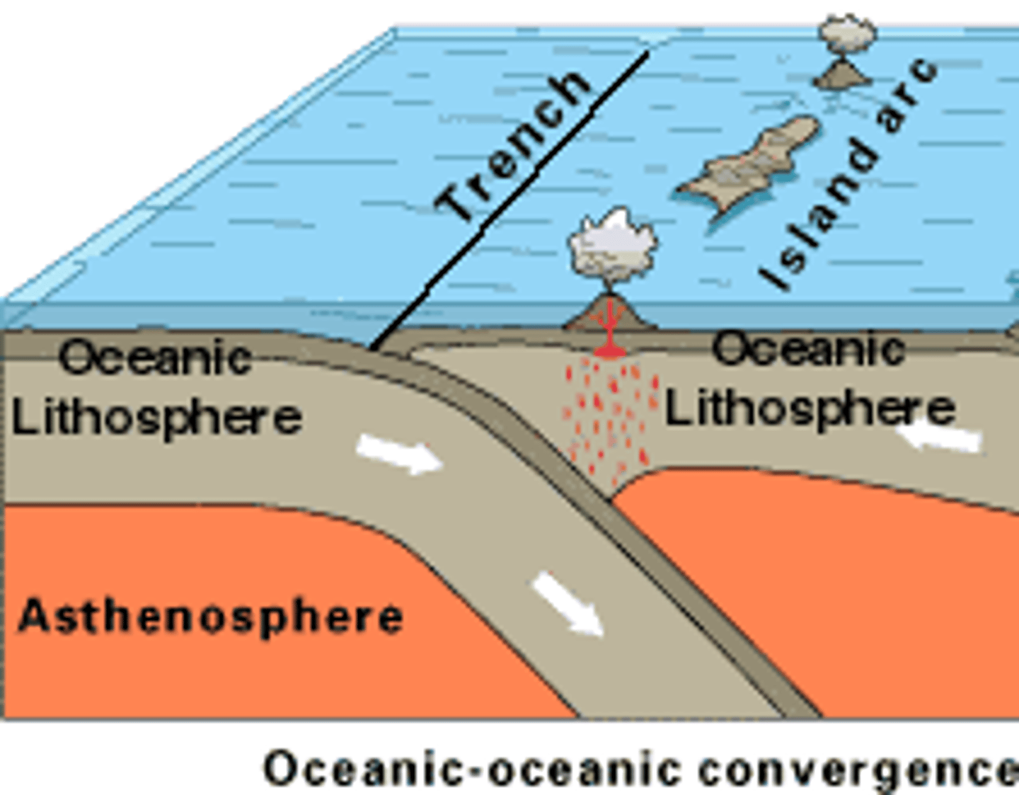 <p>Ocean trenches form as the denser oceanic plate subducts.</p>