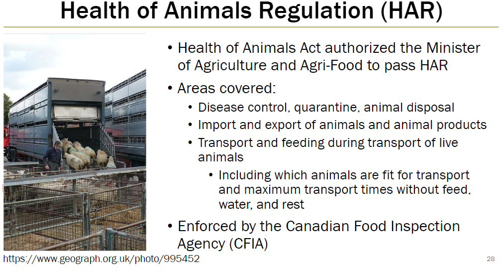 <p><strong>Authorization</strong><br> Health of Animals Act allows Minister of Agriculture and Agri-Food to pass HAR</p><p><strong>Areas Covered</strong><br> Disease control, quarantine, and animal disposal<br> Import and export of animals and animal products<br> Transport and feeding of live animals during transport, including:<br>  Which animals are fit for transport<br>  Maximum transport times without feed, water, and rest</p><p><strong>Enforcement</strong><br> Canadian Food Inspection Agency (CFIA)</p>