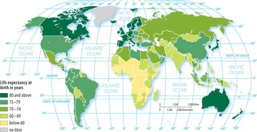 <p>By analyzing the map above, which East Asian nation-state has the highest life expectancy?</p><ol><li><p>﻿﻿﻿China</p></li><li><p>﻿﻿﻿Mongolia</p></li><li><p>﻿﻿﻿Taiwan</p></li><li><p>North Korea</p></li><li><p>Japan</p></li></ol>
