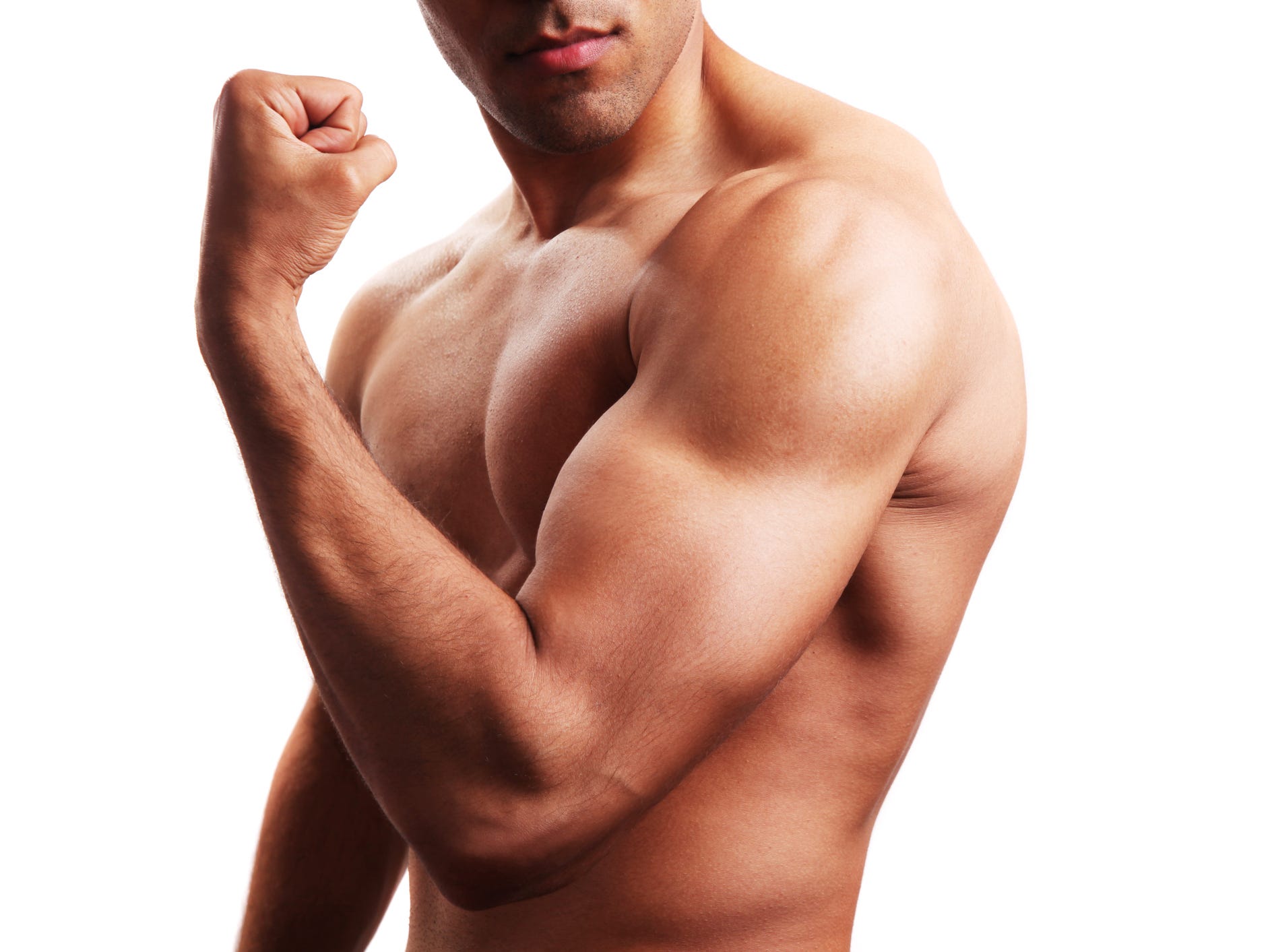 <p>39 Muscle</p>
