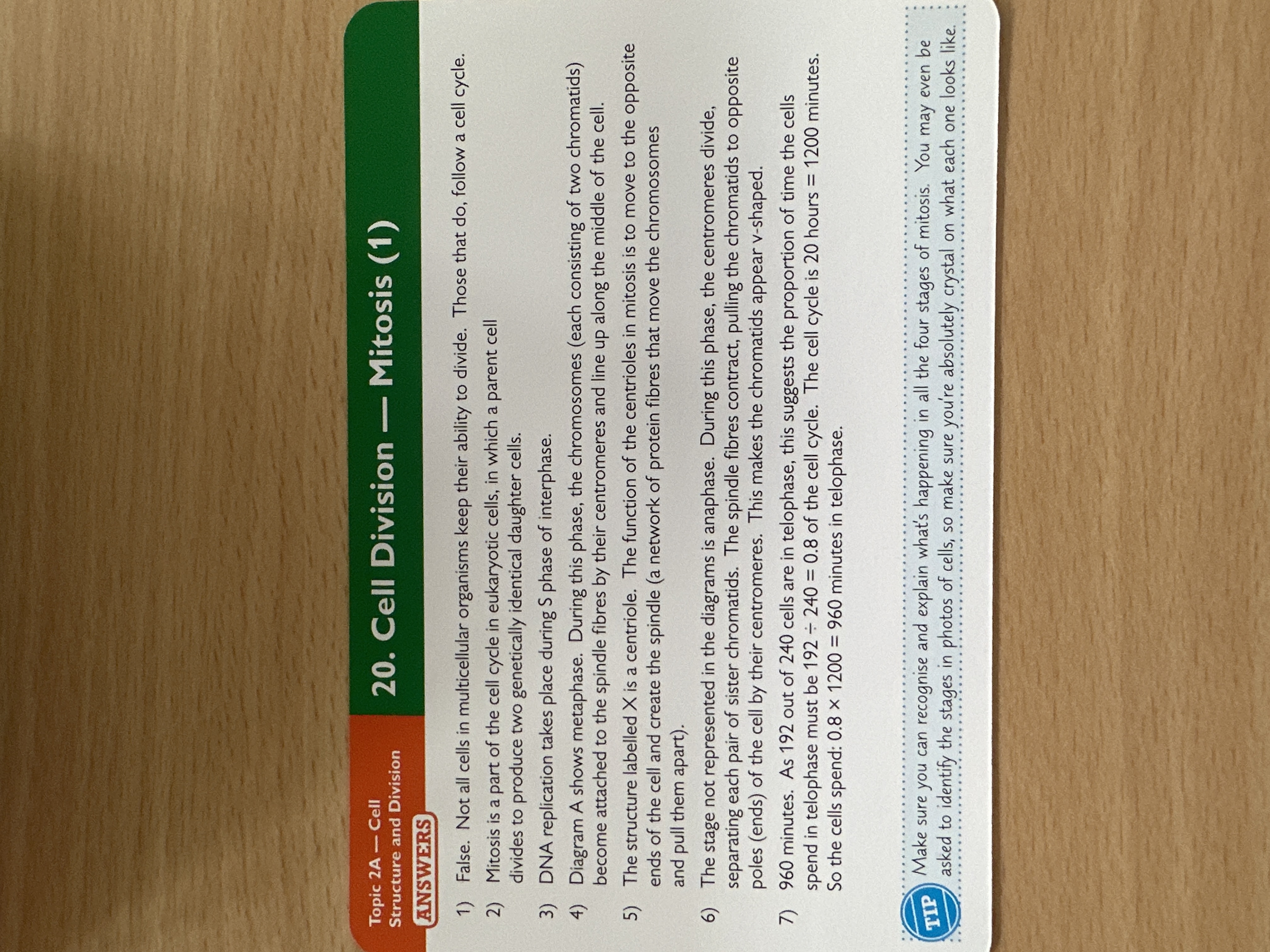 knowt flashcard image