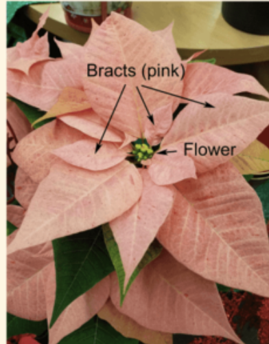 <p>What kind of modification is this?</p>