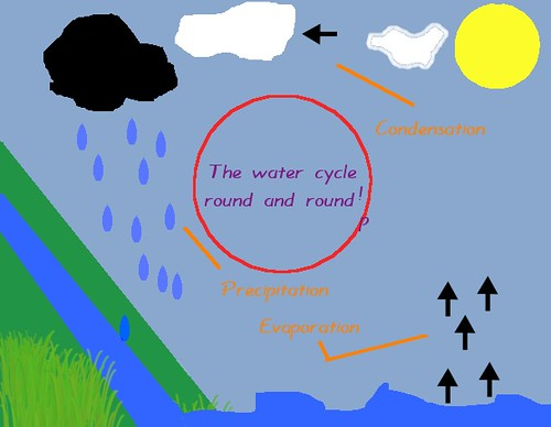 the continual movement of water among Earth's atmosphere, oceans, and land surface through evaporation, condensation, and precipitation
