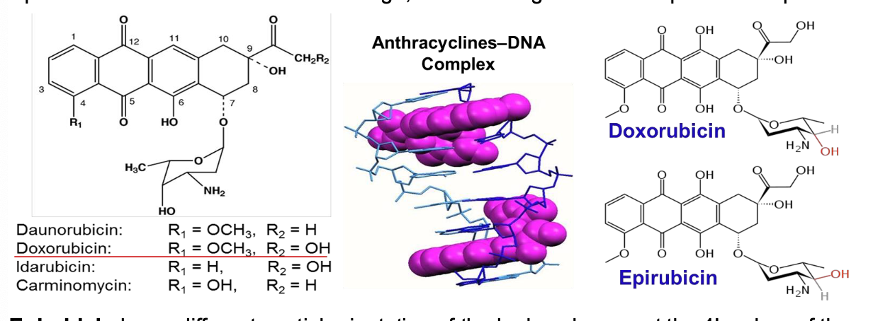 <ol><li><p>Intercalate into double helical DNA to <strong><em><mark data-color="yellow" style="background-color: yellow; color: inherit"><u>inhibit DNA/RNA synthesis</u></mark></em></strong></p></li><li><p><strong><em><mark data-color="green" style="background-color: green; color: inherit"><u>Prevents replication </u></mark></em></strong>of rapidly growing cancer cells</p><ol><li><p>Topoisomerase II inhibitors: Anthracyclines</p></li></ol></li><li><p><strong><em><mark data-color="yellow" style="background-color: yellow; color: inherit"><u>Stabilizes the topoisomerase II complex</u></mark></em></strong> after it has broken the DNA chain</p></li></ol><p></p>