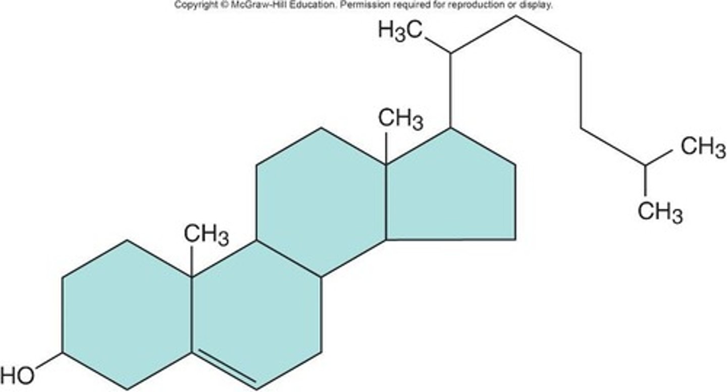 <p>Contain four hydrocarbon rings, derived from cholesterol, serving as chemical messengers between cells, and can be ingested from animal products or synthesized.</p>