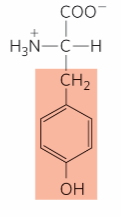 <p>What is this?</p>