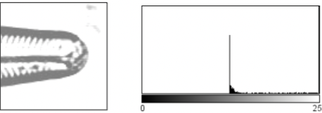 <p>add or subtract values to change visual brightness of the image. This is an example of adding value to the pixel values from the og image (brighter)</p>