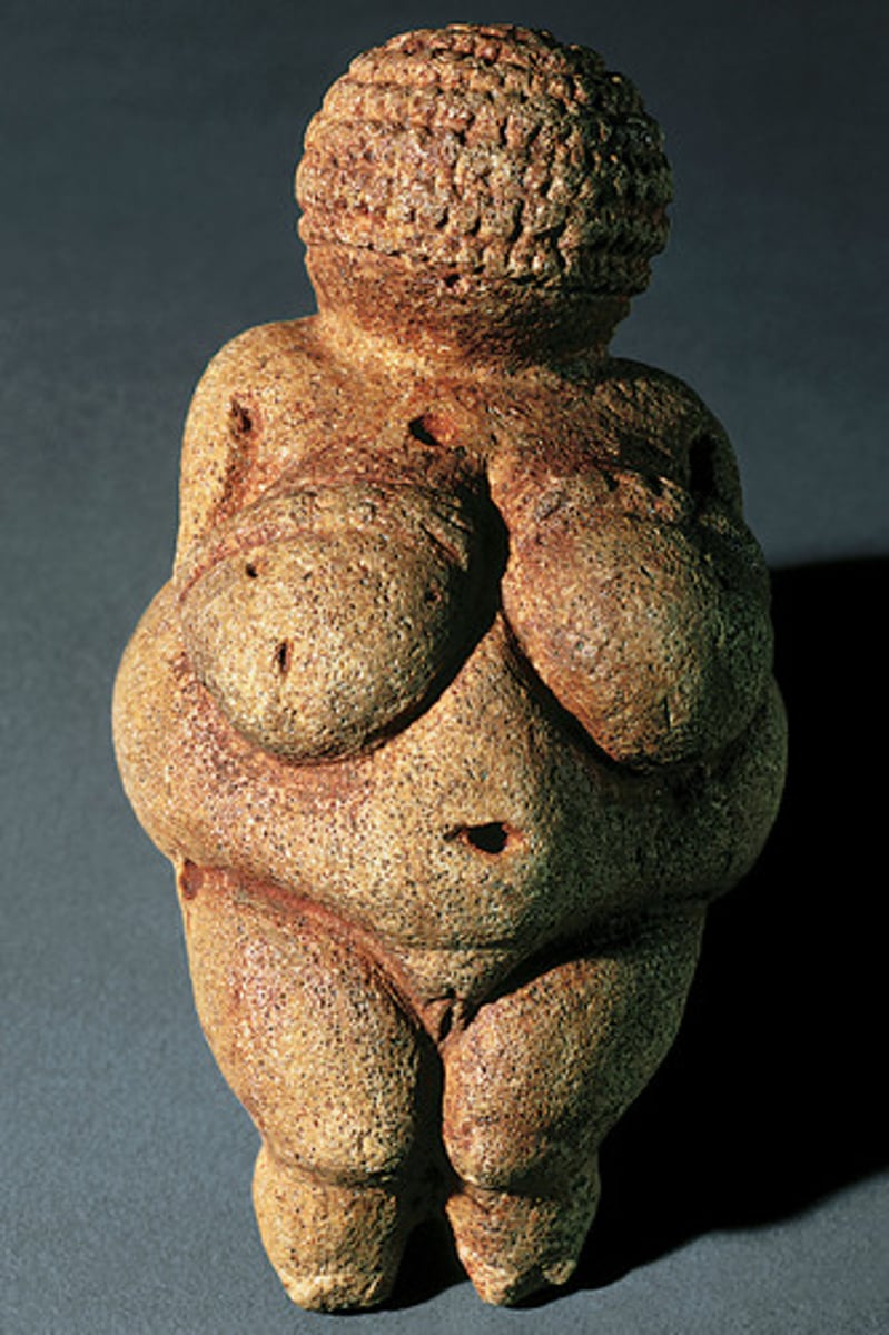 <p>A figurine from Austria, created during the Paleolithic period.</p>