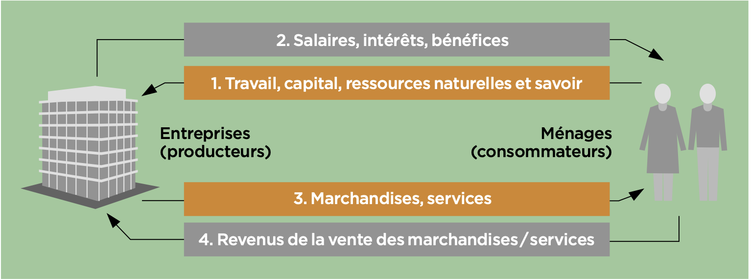 <ol><li><p>Travail, capital, ressources naturelles et savoir (ménages/consommateurs → entreprises/producteurs)</p></li><li><p>Salaires, intérêts, bénéfices (entreprise/producteur →  ménages/consommateurs)</p></li><li><p>Marchandises, services (entreprise/producteur →  ménages/consommateurs)</p></li><li><p>Revenus de la vente des marchandises / services (ménages/consommateurs → entreprises/producteurs)</p></li></ol><p></p>