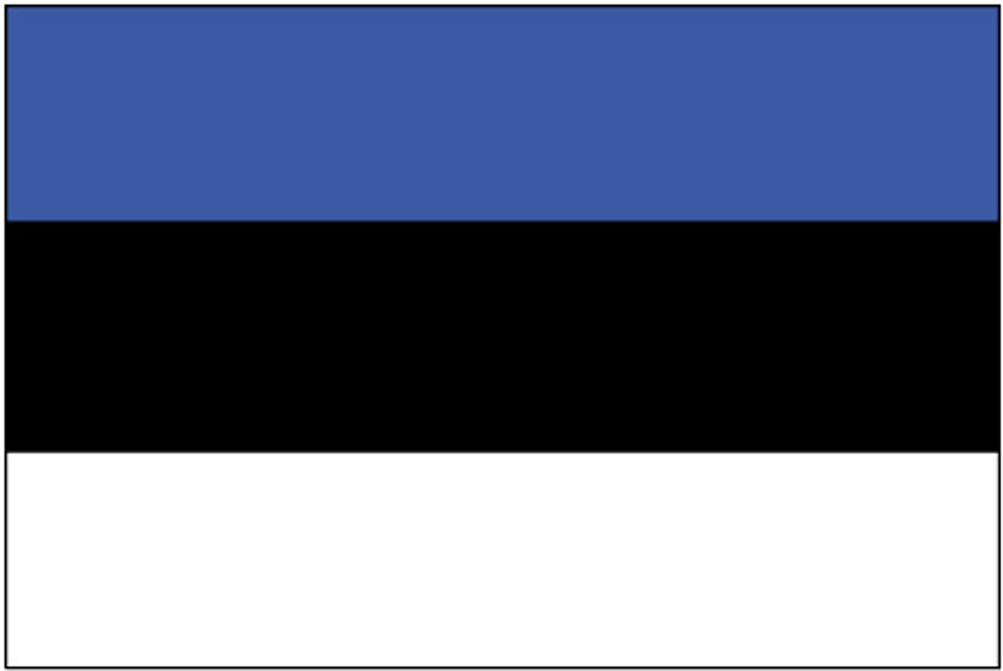 <p>She or he doesn't speak Estonian.</p>