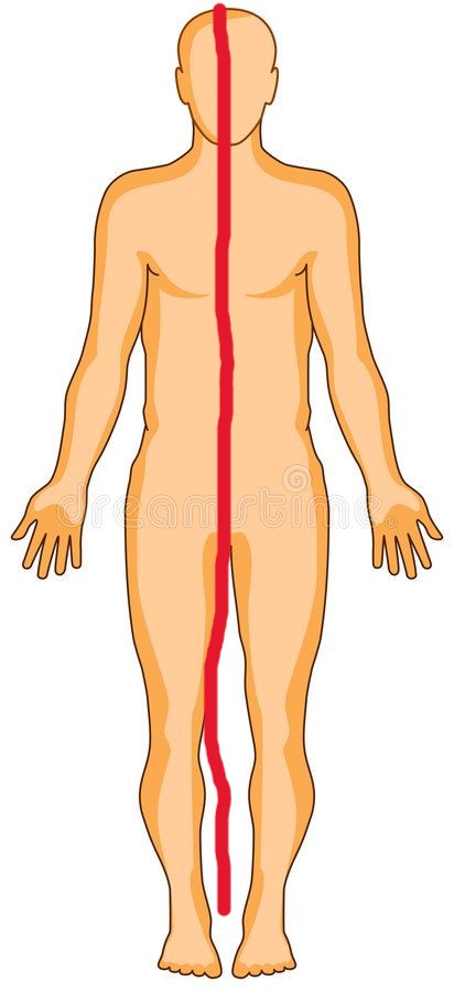 <p>The a line that runs through the center of the body. straight down middle </p>