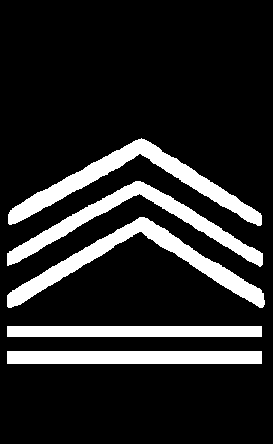 Cadet sergeant first class