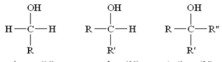 <p>These are all examples of what type/class of organic compound?</p>